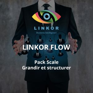 Pack Scale – Grandir et structurer