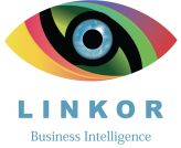 linkor Business Intelligence